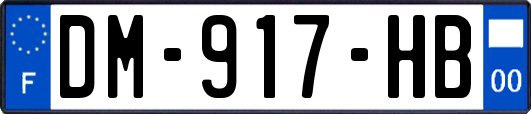 DM-917-HB