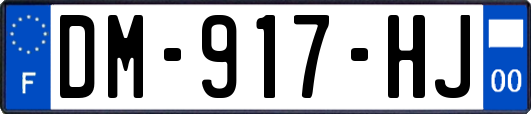 DM-917-HJ