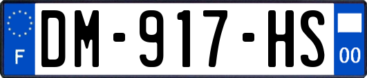DM-917-HS