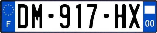 DM-917-HX