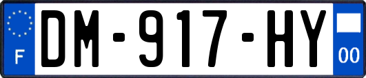 DM-917-HY