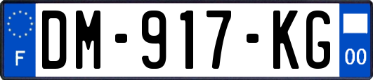 DM-917-KG