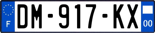 DM-917-KX