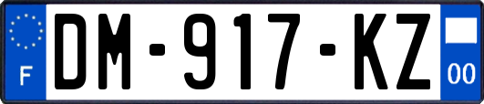 DM-917-KZ