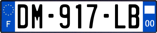 DM-917-LB