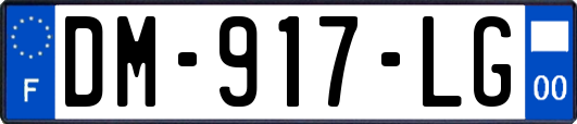 DM-917-LG