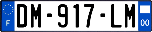 DM-917-LM