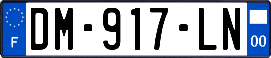 DM-917-LN