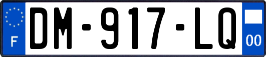 DM-917-LQ