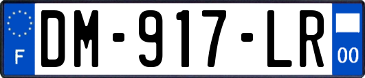 DM-917-LR