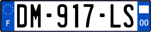 DM-917-LS