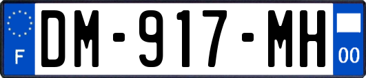 DM-917-MH