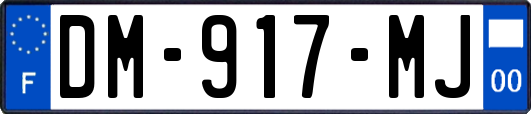 DM-917-MJ