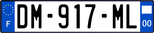 DM-917-ML
