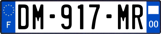 DM-917-MR