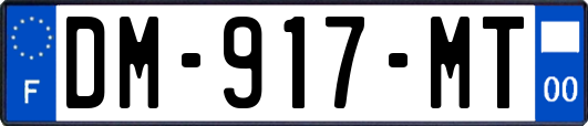 DM-917-MT
