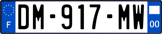 DM-917-MW