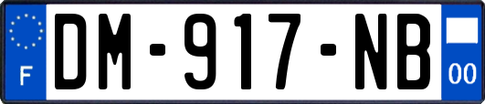 DM-917-NB