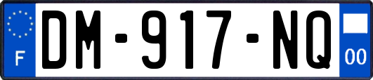 DM-917-NQ