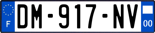 DM-917-NV