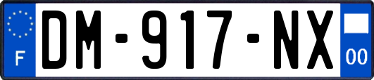 DM-917-NX