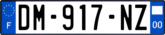 DM-917-NZ