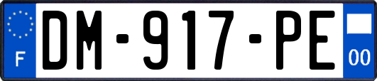 DM-917-PE