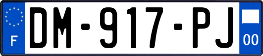 DM-917-PJ
