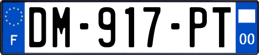 DM-917-PT