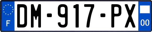 DM-917-PX