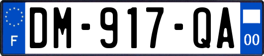 DM-917-QA