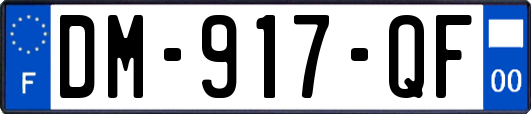 DM-917-QF