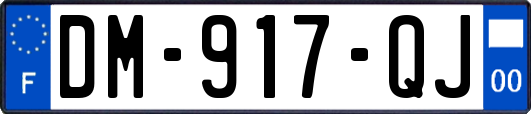 DM-917-QJ