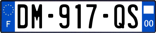 DM-917-QS