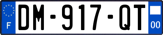 DM-917-QT