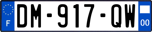 DM-917-QW