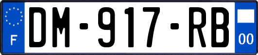 DM-917-RB