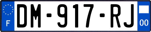 DM-917-RJ