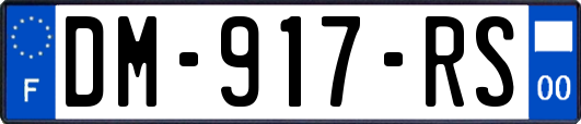 DM-917-RS