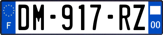 DM-917-RZ