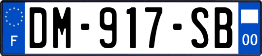 DM-917-SB