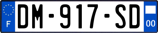 DM-917-SD