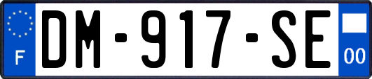 DM-917-SE