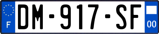 DM-917-SF