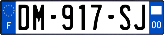 DM-917-SJ