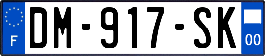 DM-917-SK