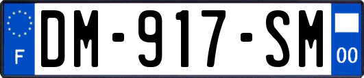 DM-917-SM