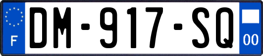 DM-917-SQ