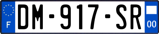 DM-917-SR