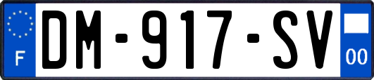 DM-917-SV